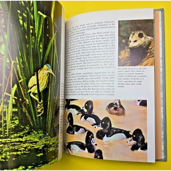 THE LIFE OF RIVERS AND STREAMS OUR LIVING WORLD OF NATURE SERIES 1967 b1 - Picture 2 of 15